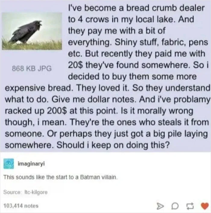50 Times A Comment Was So Good, It Made Its Way Onto This Facebook Group
