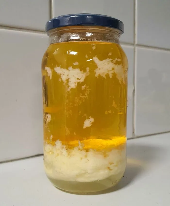 Accidentalmente puse mayonesa en el congelador