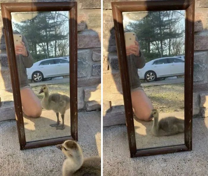 Take A Look At This Fb Marketplace Listing