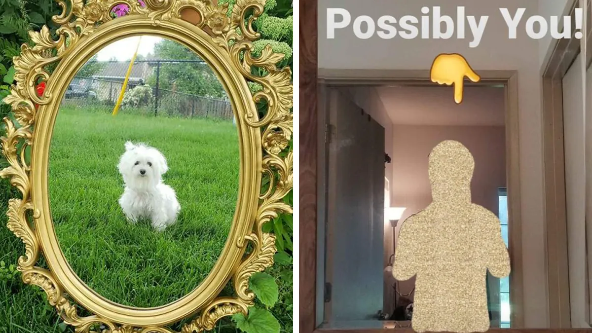 40 Times People Tried To Sell Mirrors And The Photos They Took Showed The Funniest Reflections (New Pics)