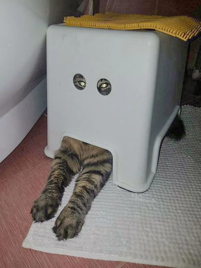 You Can't See Me