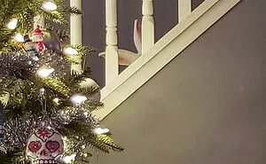 50 Pets Who Thought They Were Hiding, But Actually Weren't