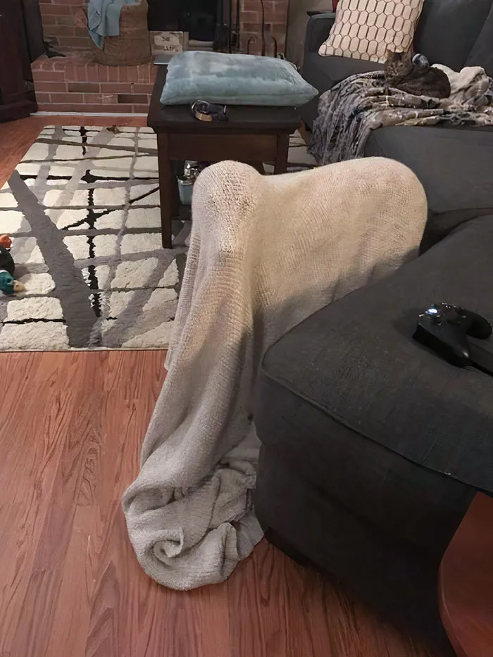 Master Of Disguise