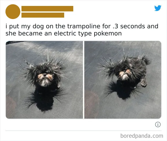 Facebook Group Shares 50 Posts That Show The Worst And Best Of Twitter