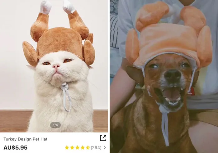 30 Times Shein Customer Reviews Were Even More Entertaining Than The Products They Sell
