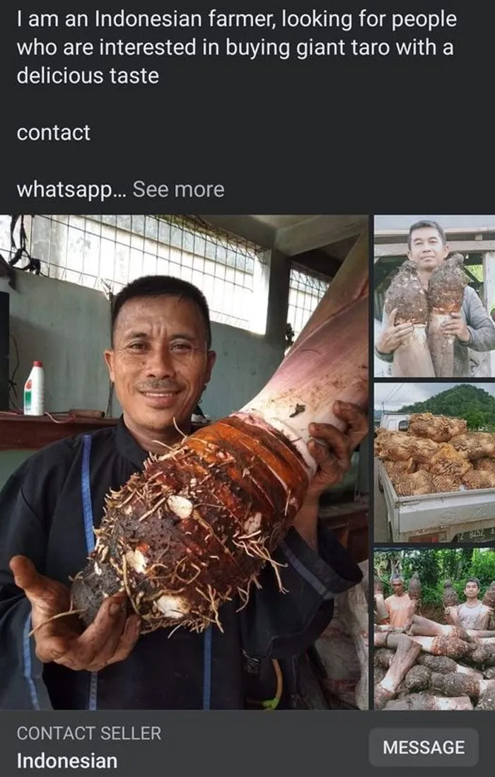 "Humans Of Marketplace": 30 Times People Spotted Shady Ads On Facebook Marketplace And Shared Them In This Online Group
