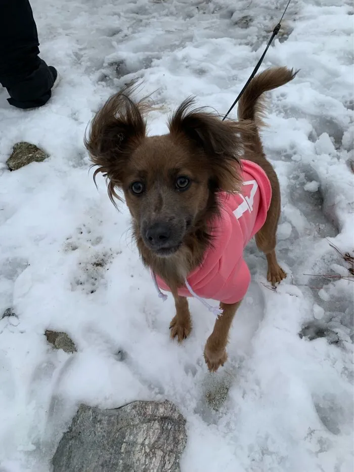 First Snow Trip