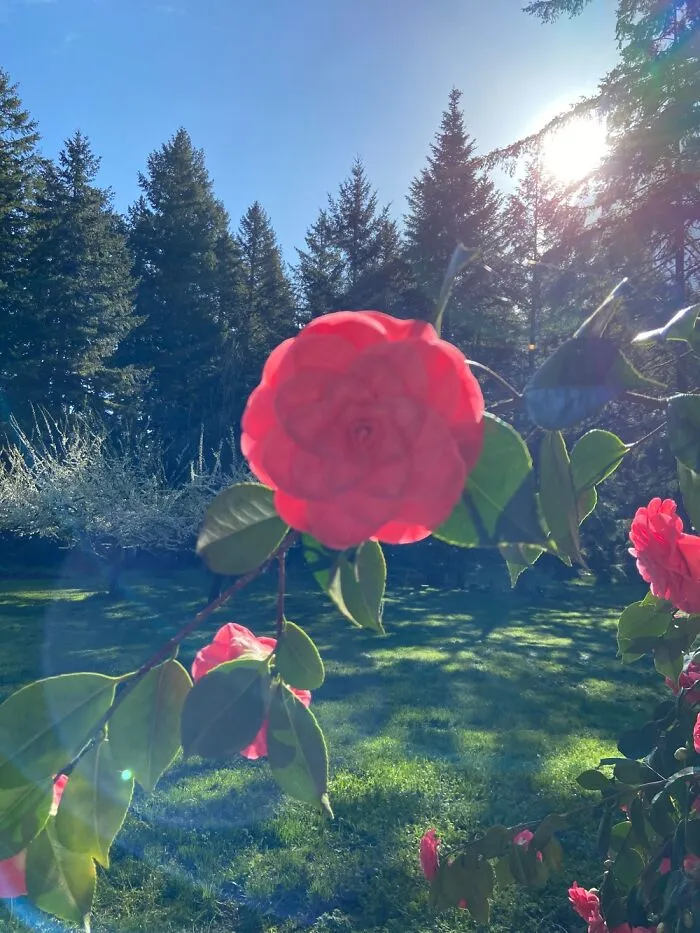 Spring Is In Session Here Is Northwest Oregon!