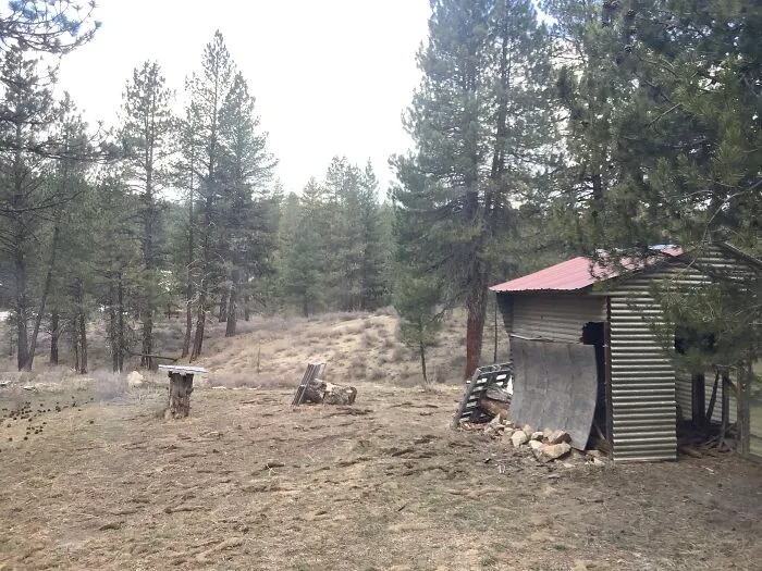 Idaho Forests. This Is Nothing Compared To The View We Get On The Ridge Top Though