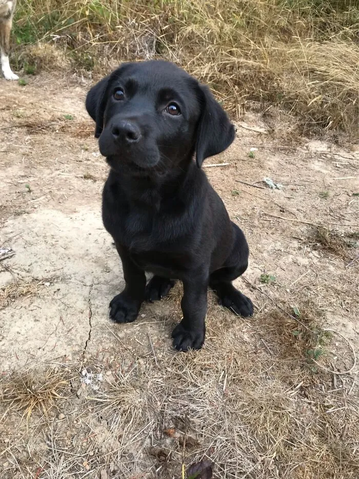 Ripley!!!