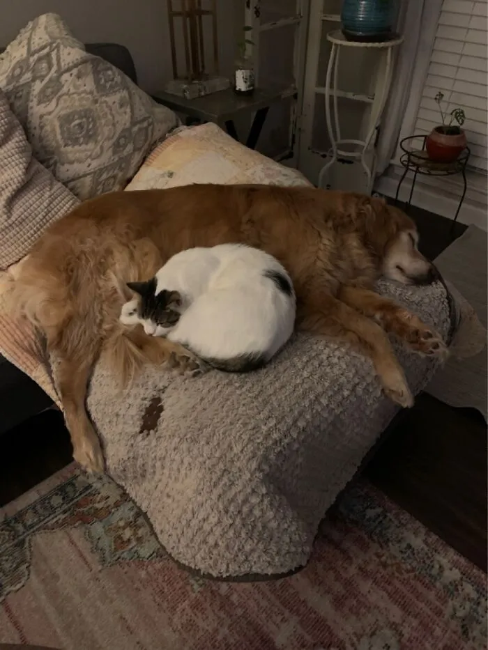 Besties