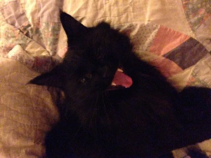 Jack