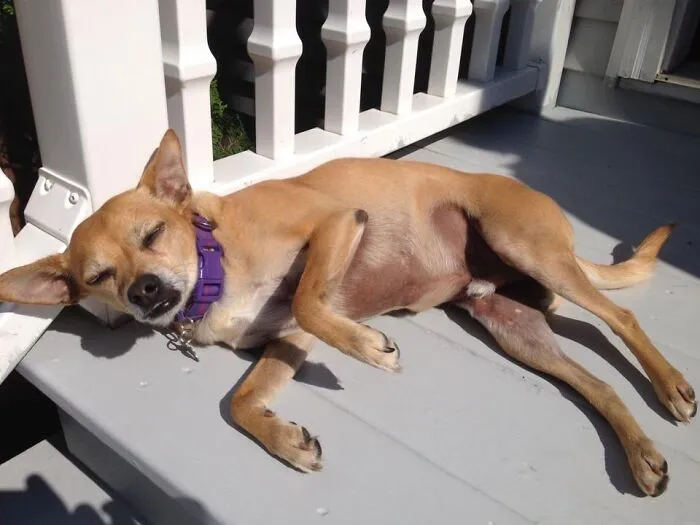 Need Me Some Shades, Mama!