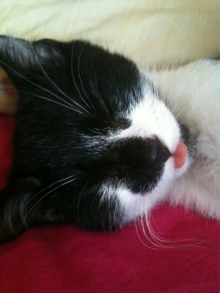 Beautiful Jinx