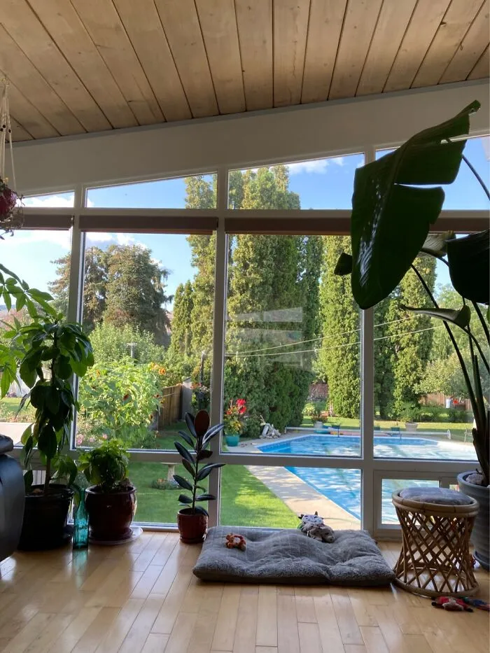 Love Our View Out Our Living Room Window