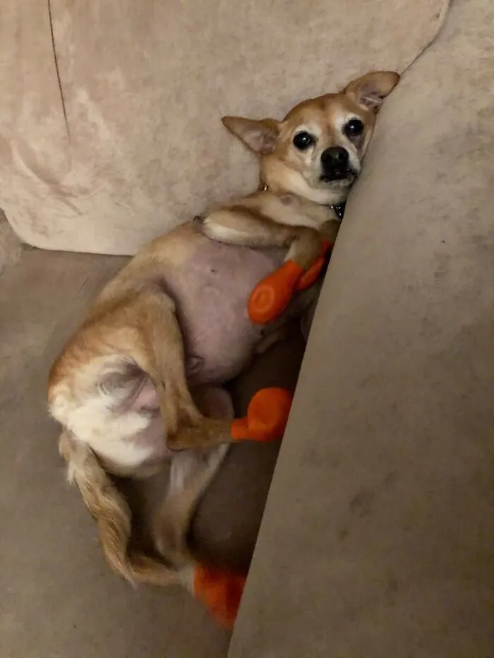 Keeping “Socks” On