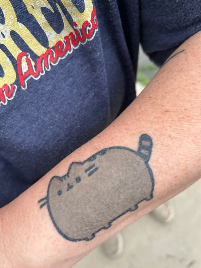 Pusheen, My Favorite Cartoon Cat!