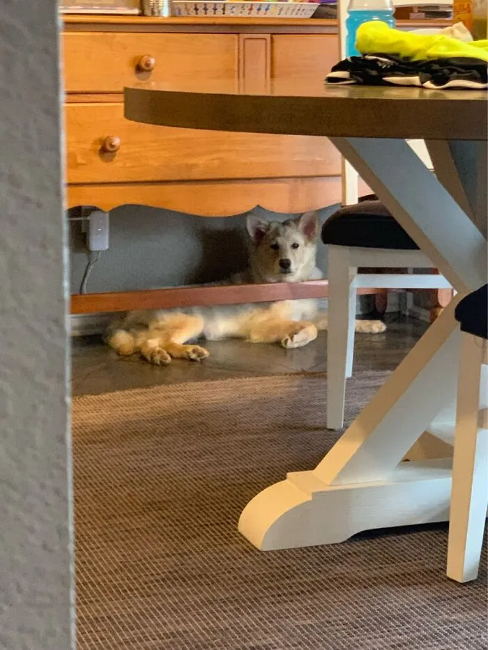 Him