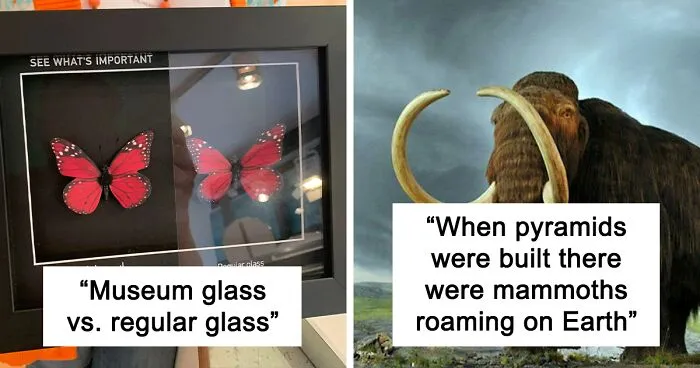 The 'Facts Encyclopedia' Instagram Is Dedicated To Sharing "Unknown Facts Daily", Here're 40 Of The Most Fascinating Ones