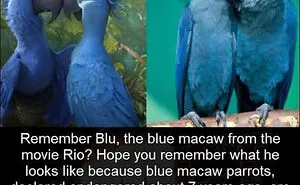 This Instagram Account Shares Incredible Facts That You Probably Haven't Heard Yet (50 Pics)