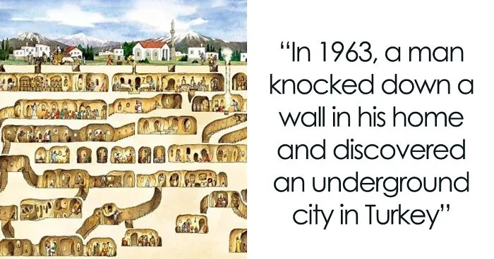 This Instagram Account Shares Incredible Facts That You Probably Haven't Heard Yet (50 Pics)