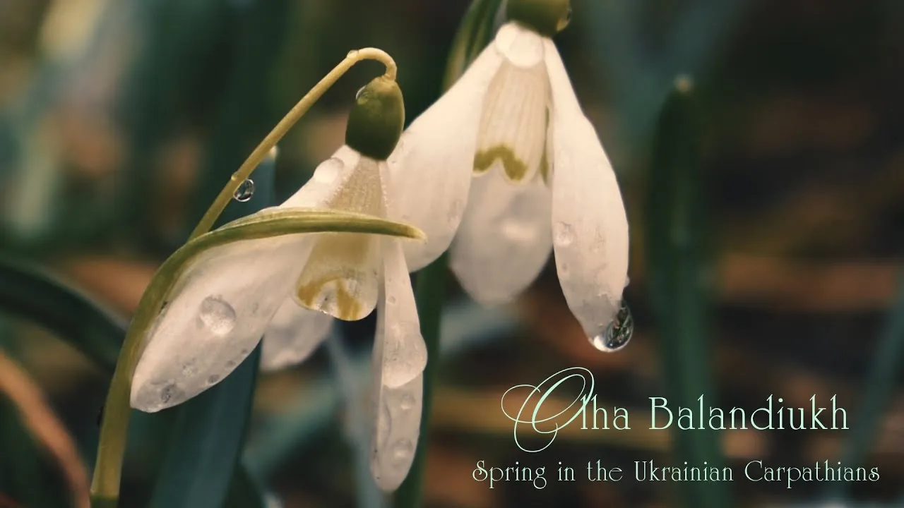 I Composed And Created Soundtracks Of Ukrainian Nature