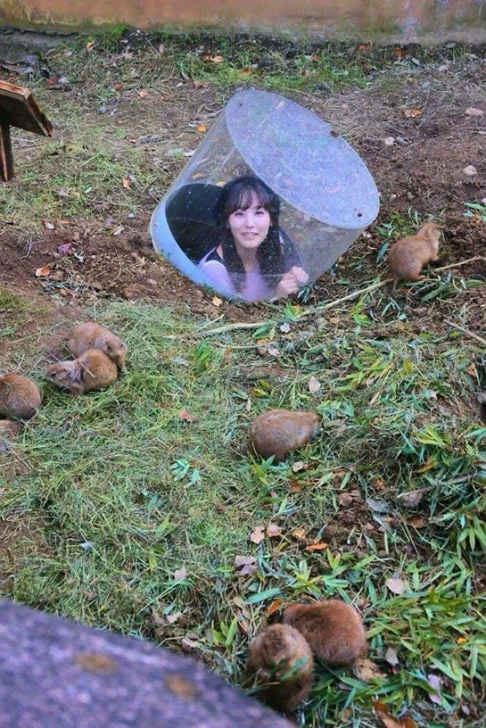 "Japón sin contexto": 37 fotos divertidas y extrañas que demuestran lo singular que es Japón