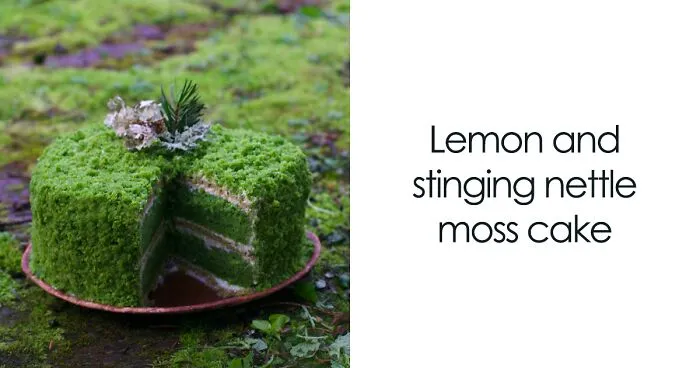 I Bake Nature-Inspired Cakes, And Here Are My 15 Best Ones