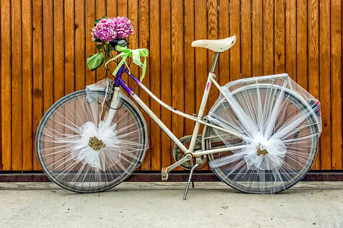 50 New ‘Today I Learned’ Facts That Prove It’s Never Too Late To Learn Something New