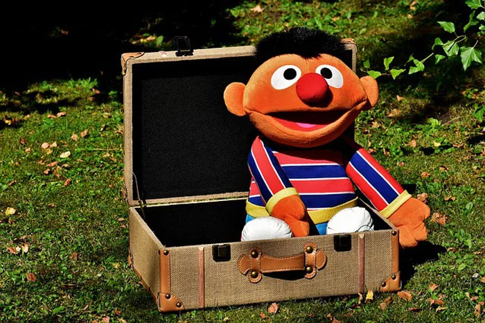 50 New ‘Today I Learned’ Facts That Prove It’s Never Too Late To Learn Something New