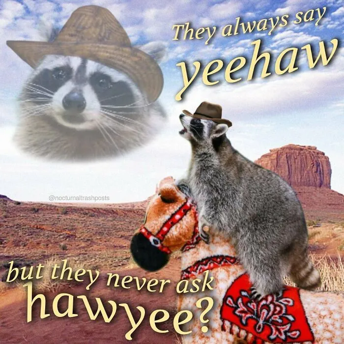 “Nocturnal Trash Posts”: 30 Of The Best Raccoon Memes This Dedicated Instagram Account Has To Offer