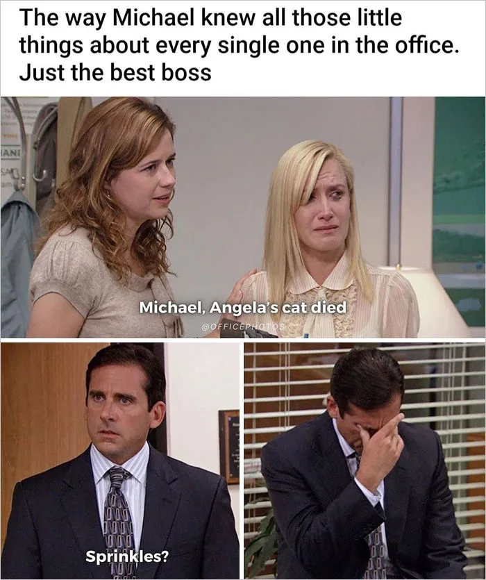 Office-Memes-Daily-Instagram