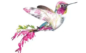 My 50 Botanical Animals That I Painted