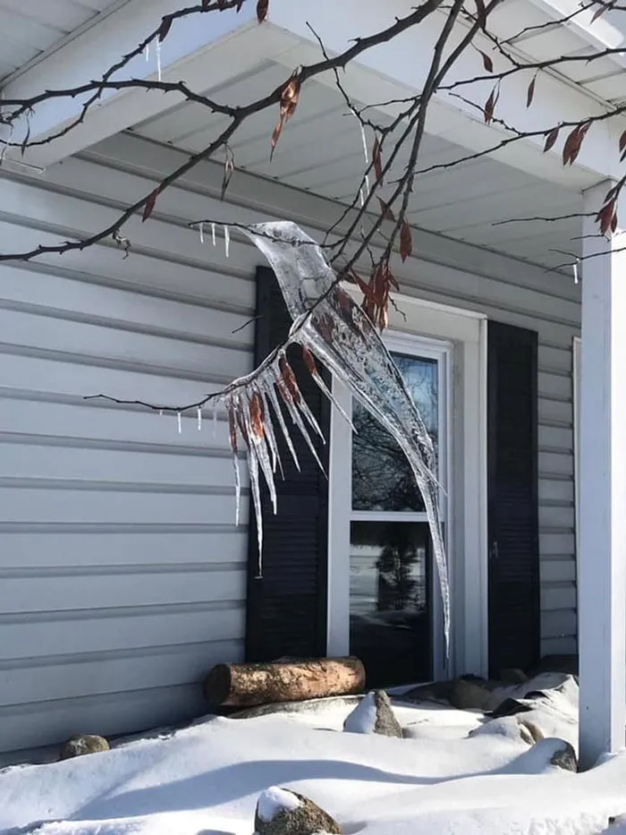 Carámbano con forma de colibrí