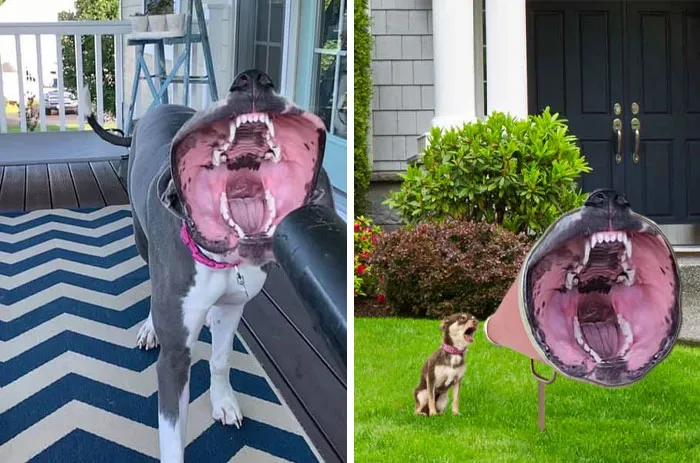 This Dog Catching Leaf Blower Air With Its Mouth