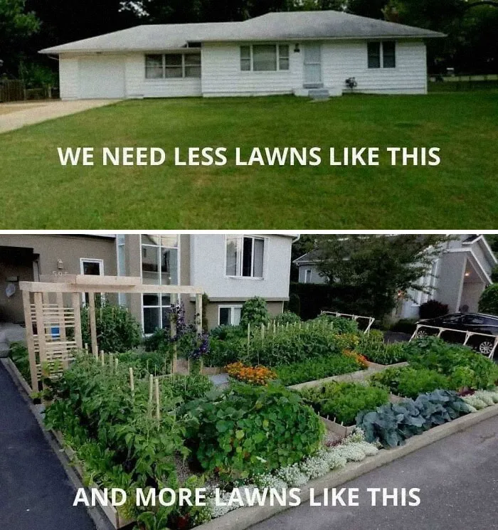 The Truth Well Told