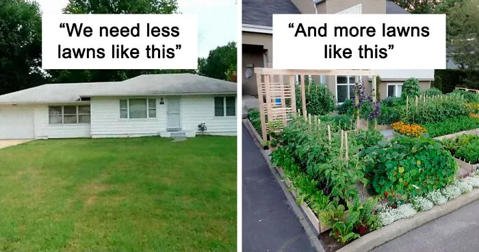 The "Solarpunk" Online Group Shares 30 Environmental Memes That People Who Are Sick Of Capitalism Destroying The Planet Can Relate To