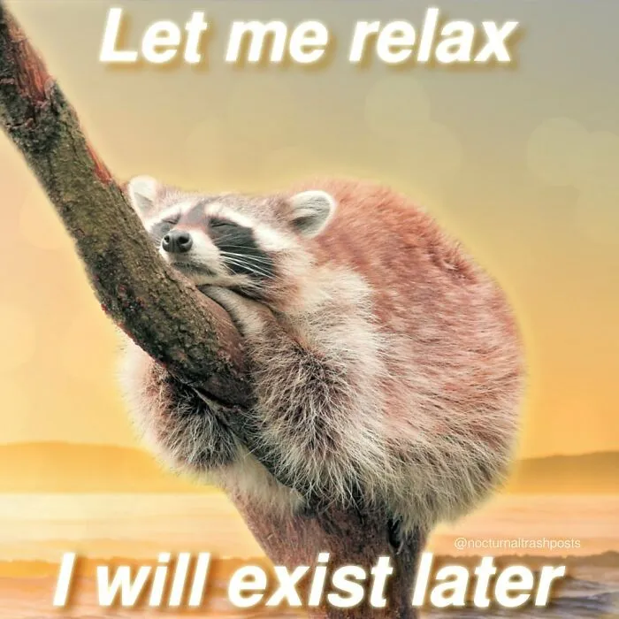 “Nocturnal Trash Posts”: 30 Of The Best Raccoon Memes This Dedicated Instagram Account Has To Offer