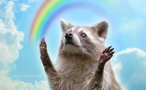 “Nocturnal Trash Posts”: 30 Of The Best Raccoon Memes This Dedicated Instagram Account Has To Offer