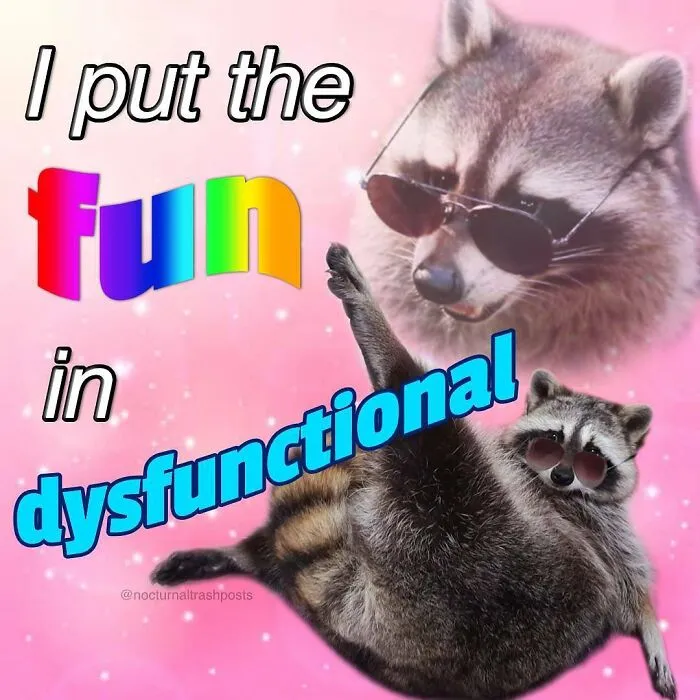 “Nocturnal Trash Posts”: 30 Of The Best Raccoon Memes This Dedicated Instagram Account Has To Offer