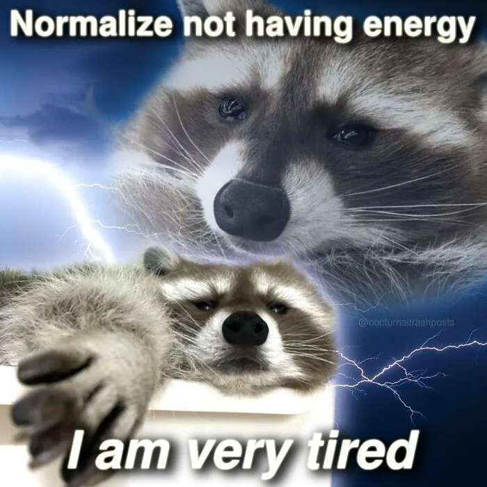 “Nocturnal Trash Posts”: 30 Of The Best Raccoon Memes This Dedicated Instagram Account Has To Offer