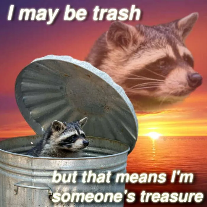 “Nocturnal Trash Posts”: 30 Of The Best Raccoon Memes This Dedicated Instagram Account Has To Offer