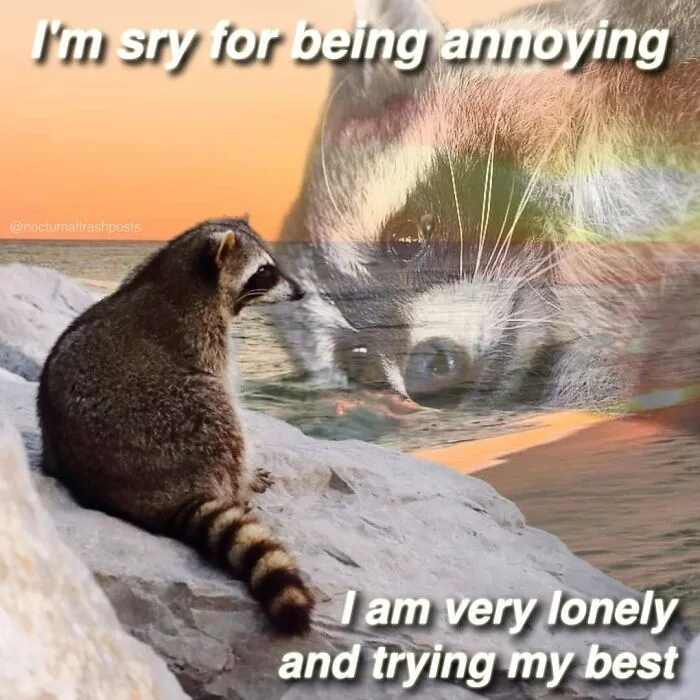 “Nocturnal Trash Posts”: 30 Of The Best Raccoon Memes This Dedicated Instagram Account Has To Offer