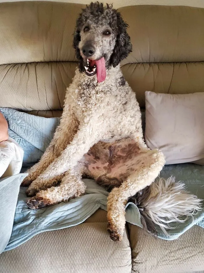 This Is My Normal Post Hike Couch Posture.  It's Very Freeing.