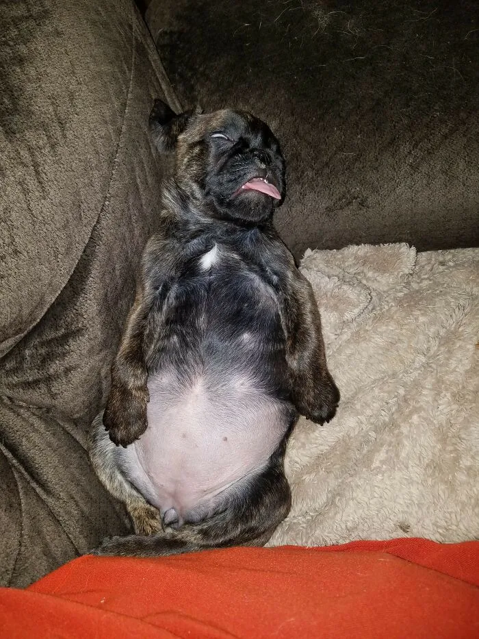 Bug As A Baby