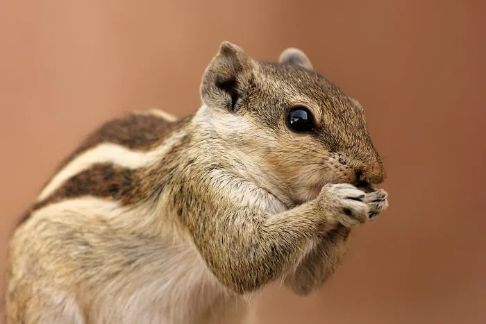 "What's The Strangest Thing You've Ever Been Caught Doing?" (35 Answers)