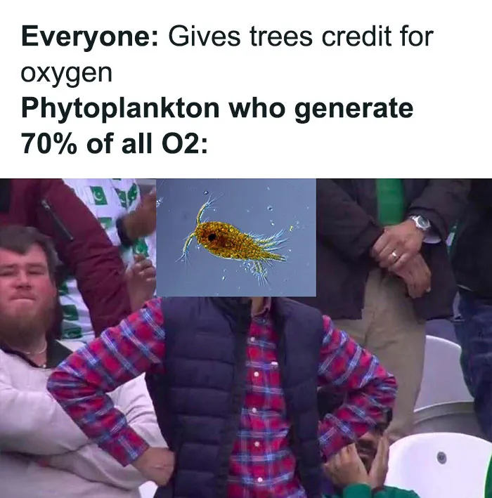 30 Science Memes That Have Been Scientifically Proven To Cause Laughter (New Pics)