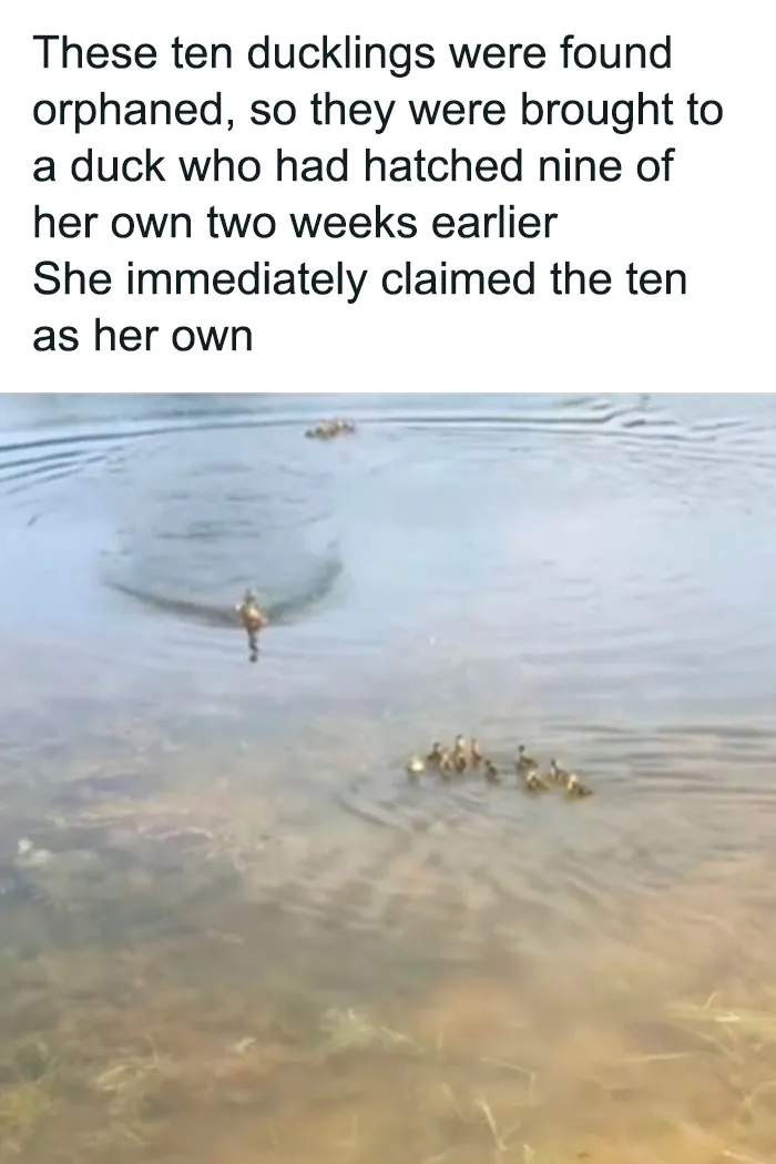 This Instagram Account Shares Uplifting News From Around The World So You Can See All The Good There Is (50 Posts)