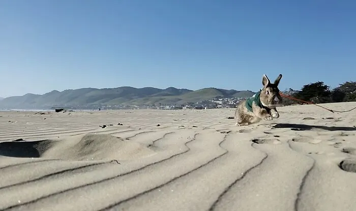 Sun + Beach = Fun