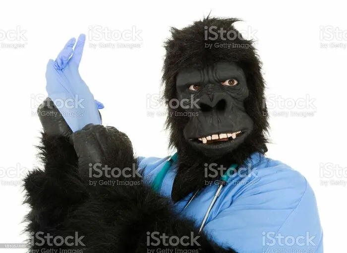 Gorilla in a costume wearing a doctor outfit and blue gloves, representing a weird stock image concept.